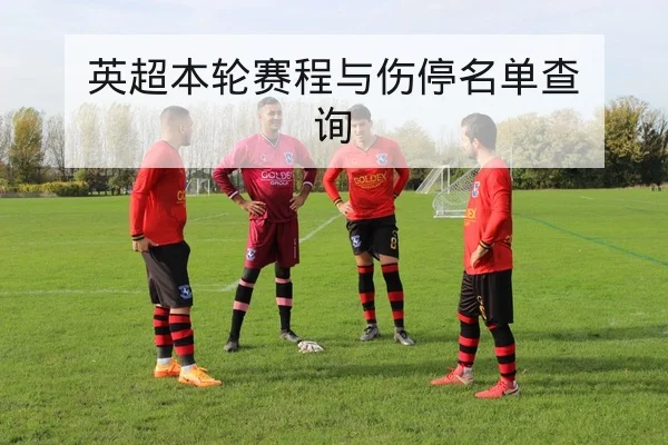 温网男单赛程比分与选手胜率统计查询