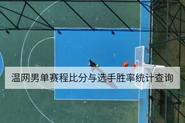 温网男单赛程比分与选手胜率统计查询