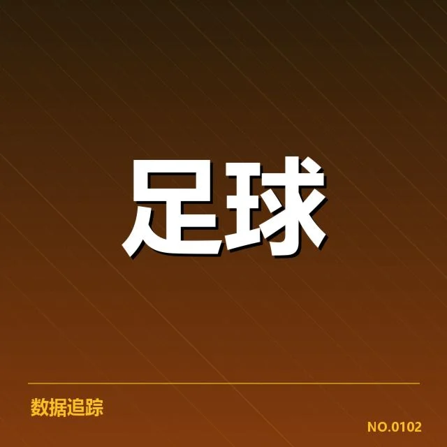 里昂女足球迷群体与赛事参与概况